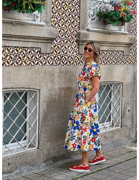 Conjunto flores colores